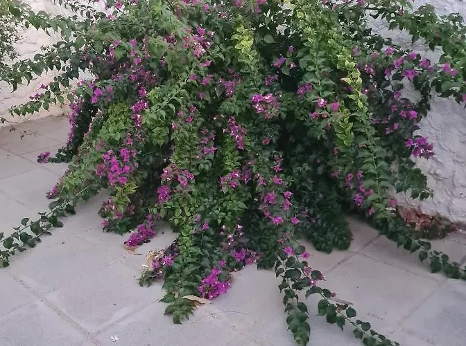 Arodafni House. Unique Views And Amazing Sunsets. *