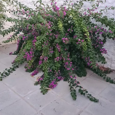 Arodafni House. Unique Views And Amazing Sunsets. *