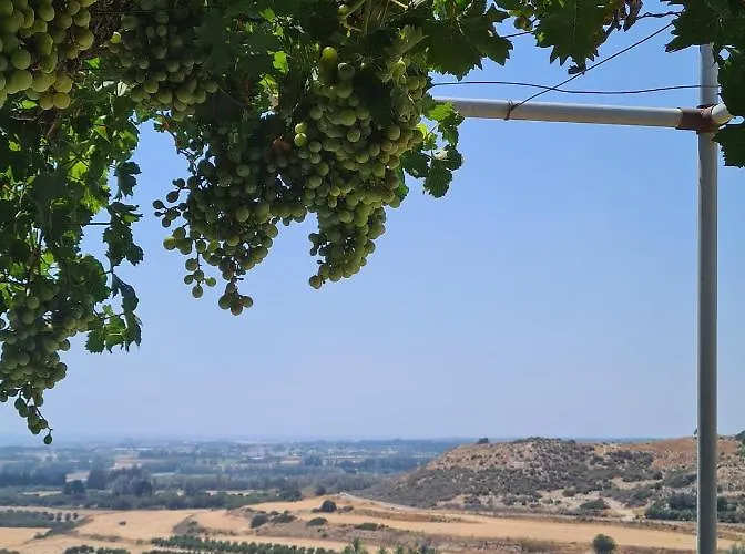 Arodafni House. Unique Views And Amazing Sunsets. Kouklia